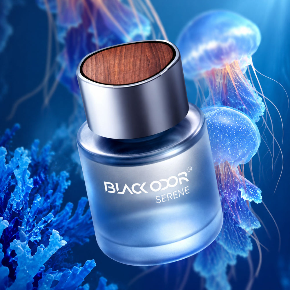 Blackodor Quick Fresh Car Deodorizer