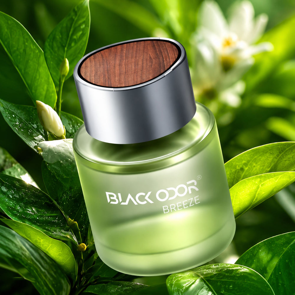 Blackodor Quick Fresh Car Deodorizer